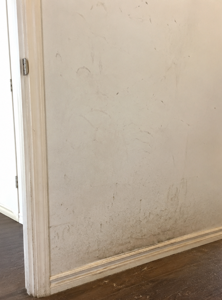 Marked and stained interior wall before painting